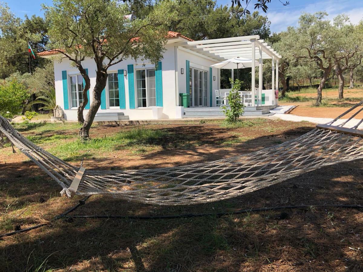Beach Villa Isidora ポトス エクステリア 写真